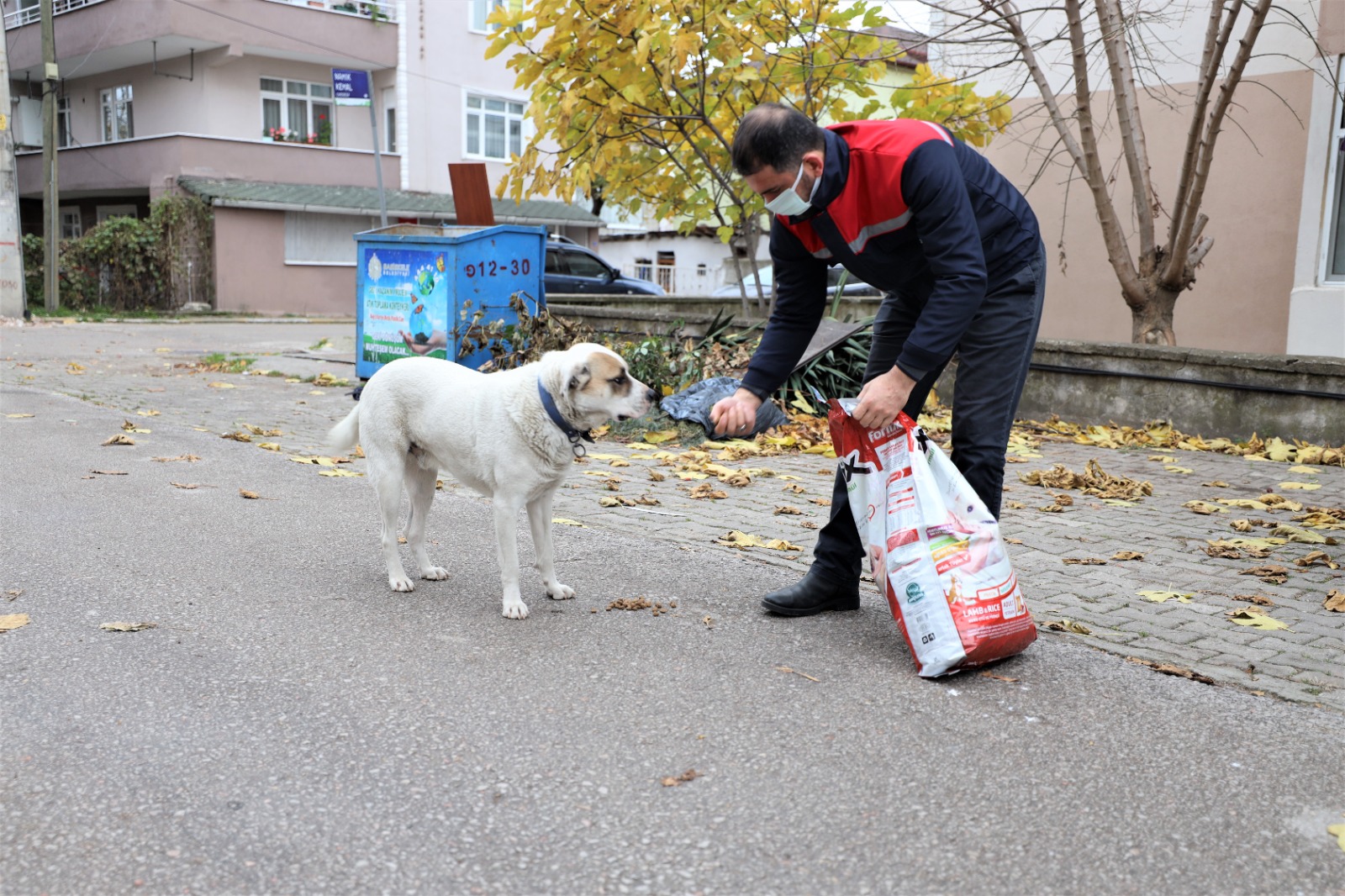 Sokağa Çıkma Yasağında Sokak Hayvanları Unutulmadı